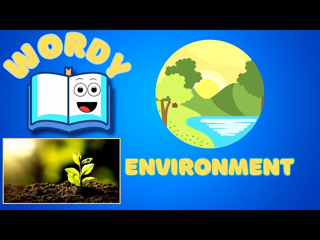 What is the Environment? 🌎 | Fun Learning for Kids!