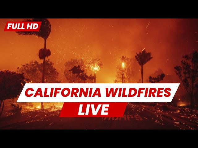 Los Angeles Live: Real-time HD Camera Feeds from Los Angeles
