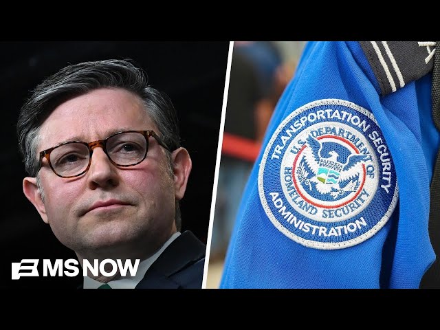 Democrats call on Speaker Johnson to bring House back to end DHS shutdown