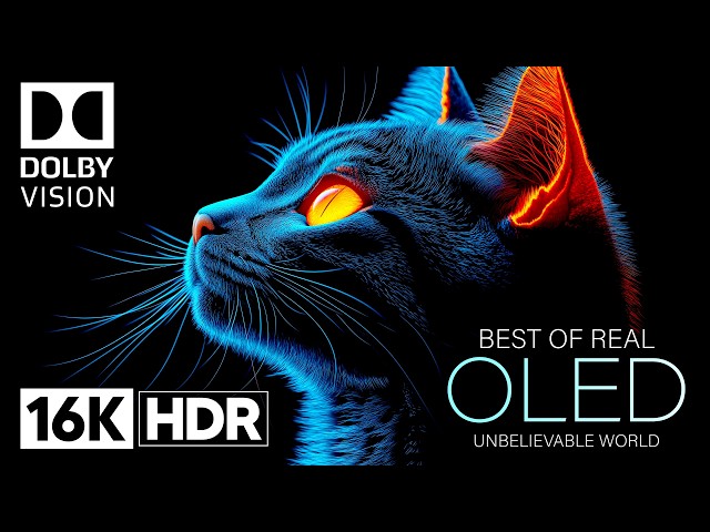 Unbelievable OLED DEMO 16K HDR 120fps Dolby Vision 16K Video ULTRA HD