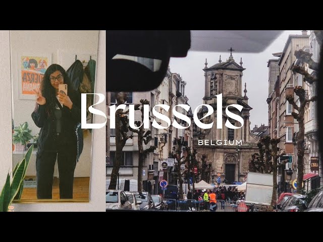 SOLO IN BRUSSELS 🇧🇪 | FOSDEM 2025
