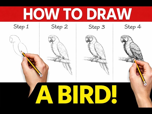 How to Draw a Bird Easily | Step-by-Step Drawing Tutorial | Easy for Beginners | DAY 13 #art