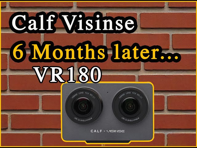 Calf Visinse 6 Months Later...