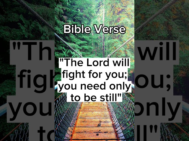 Best Bible Verse For Strength #Bible #Verse #Strength #Inspirational #shorts