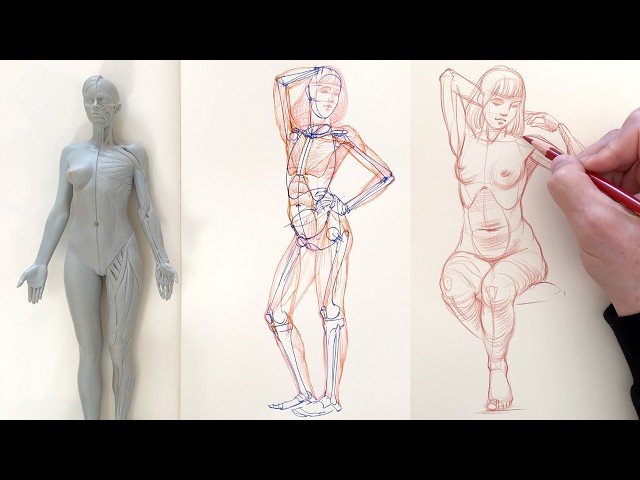 Drawing Tutorial: How to Sketch Human Figures