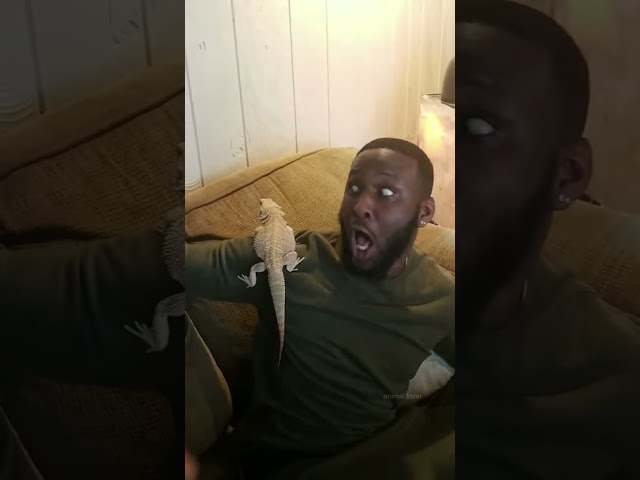 lizard prank with uncle.