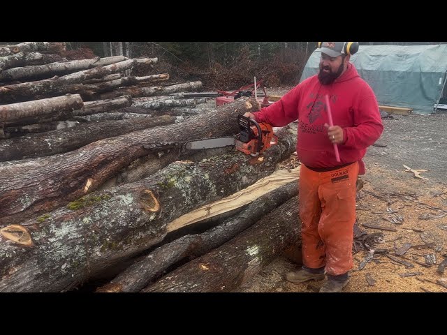 Running the Echo 7310P & CS-620 in the Woodyard!