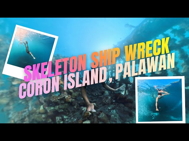 Skeleton Shipwreck Coron Palawan 🇵🇭 | 360° Underwater Dive Experience