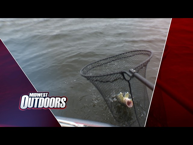 MWO Tips: Custom icons on your graph; Jig and trailer colors