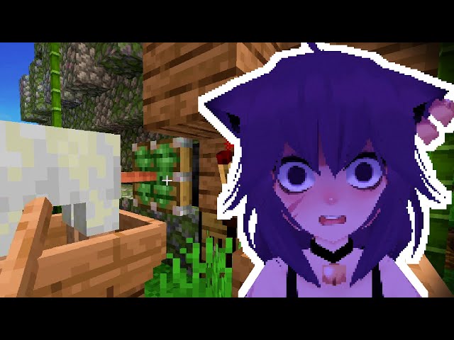 Minecraft Sheep Fricker Speedrun | FORMER WORLD RECORD (53.125s)