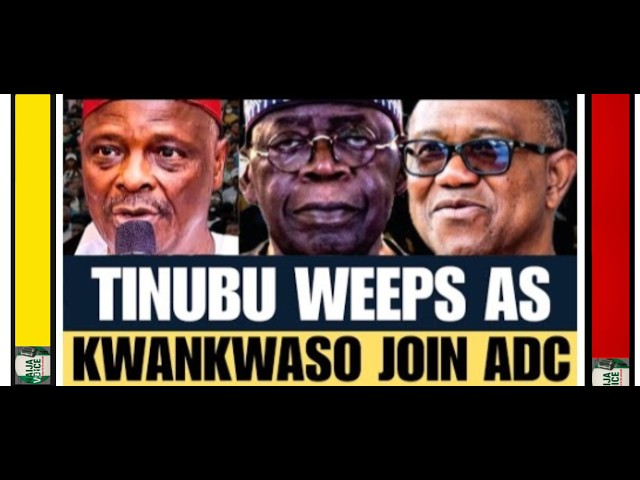 TINUBU FINALLY FEEL BAD AS KWANKWOSO JOIN ADC