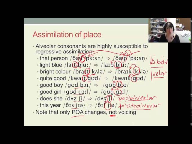 English Phonology Lecture 5 (2): Aspects of connected speech