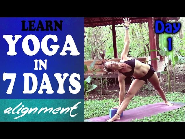 Day 1 Alignment - Yoga For Complete Beginners
