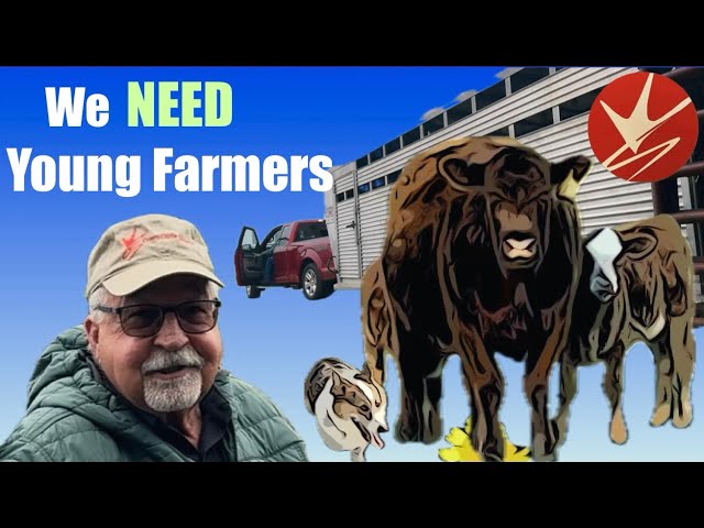 How to become a real rancher