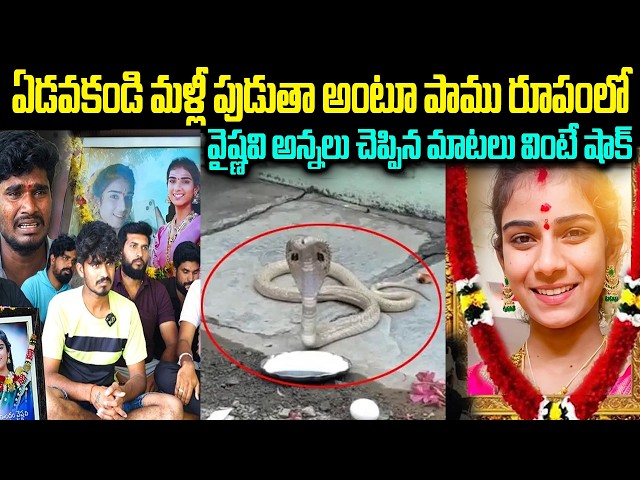 LIVE🔴 మళ్ళీ పుడతా అంటూ పాము రూపంలో వైష్ణవి | Youtuber Vaishnavi Latest News | Chitramala