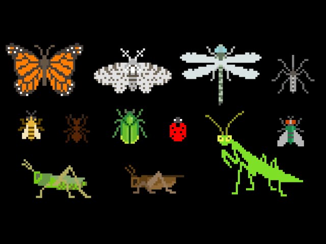 Insects - Animals Series - Bugs - The Kids' Picture Show (Fun & Educational Learning Video)