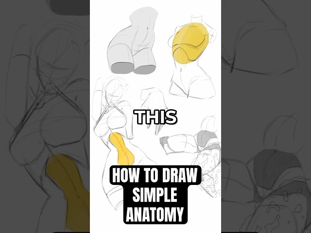 How to QUICKLY Draw Simple Anatomy!!