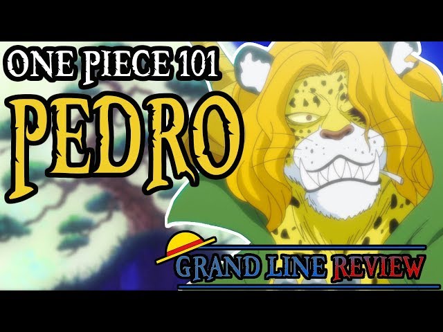 Pedro Explained｜One Piece 101