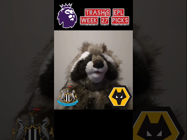 EPL Predictions Newcastle vs Wolves