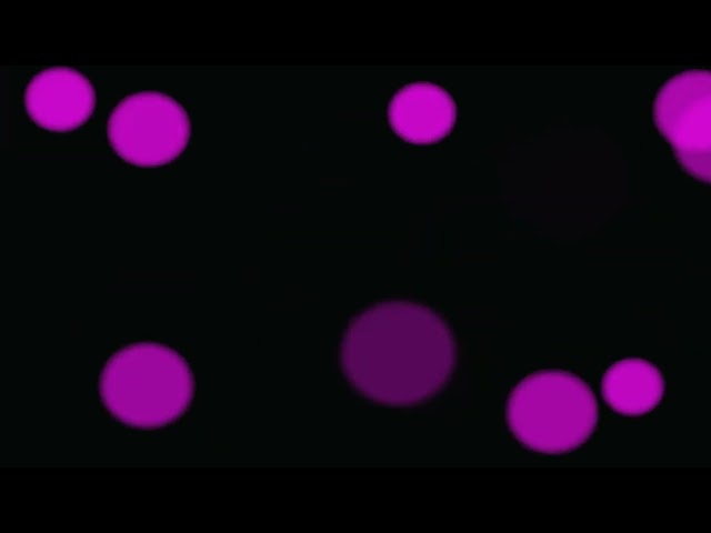 Satisfying Bokeh Animation Loop