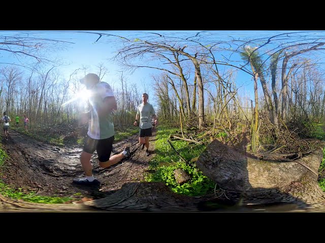 Baneasa forest run cursa de 21 km VR360