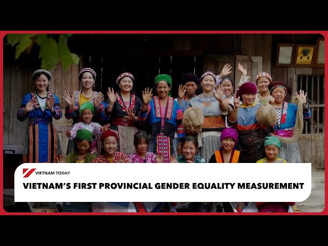 Vietnam’s first provincial gender equality measurement | Vietnam Today