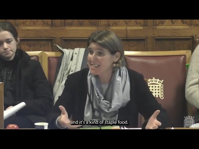 Are yoghurts a healthy option for children?