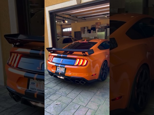 Shelby GT500 Rolling! 🐍