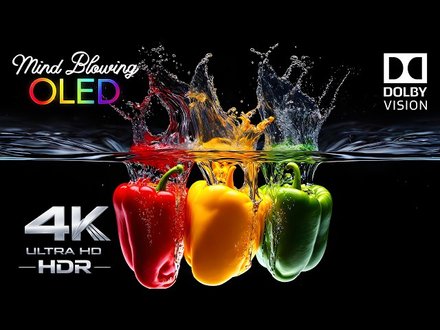 OLED Demo 2026 – The FUTURE of 4K | Mind-Blowing 4K HDR 240FPS Dolby Vision
