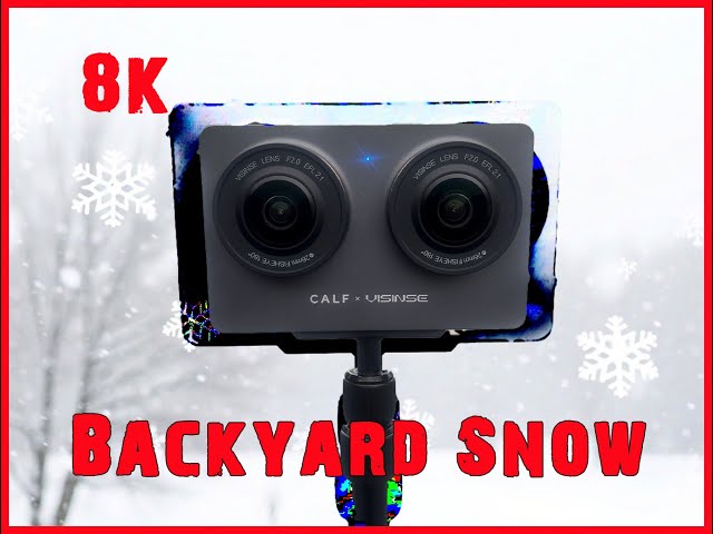 8k Calf Visinse it's snowing again