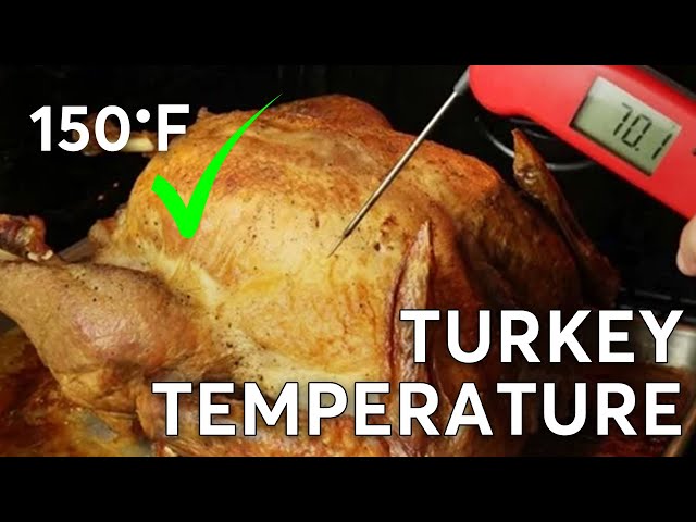 How to Check When Your Turkey is Done | The Right Way to Test a Turkey’s Temperature