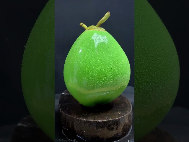 Glossy Green Coconut — So Fresh #asmr #coconut #fruitcutting