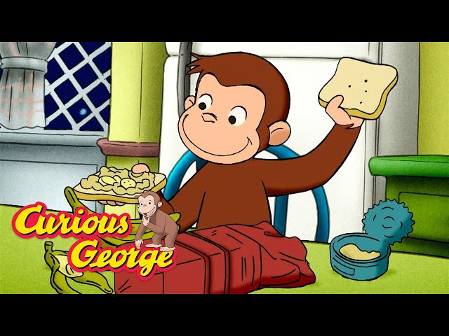 Nighttime Animals 🐵 Curious George 🐵 Kids Cartoon 🐵 Kids Movies