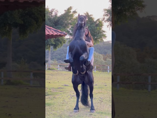 Empinando em 2 ✌🏻 #shortsyoutube #shortvideo #agro #agrogirl #comedia #shortshorts #cavalos