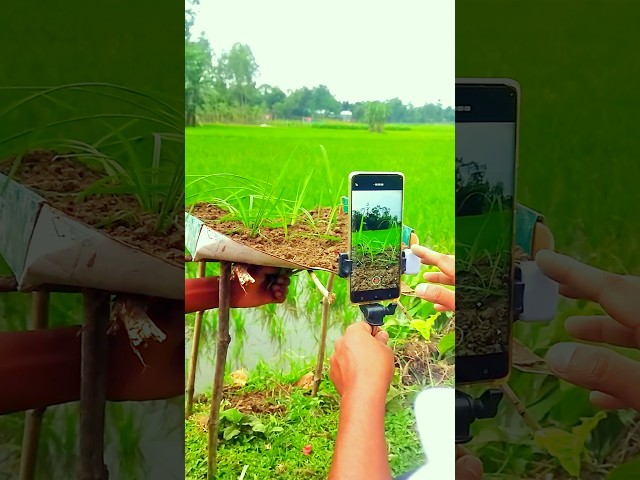 Creative ideas video 💡✅💯💯 Amazing videography💯✅🇮🇳💡👍#shorts #creative #nature#viralvideo #photography