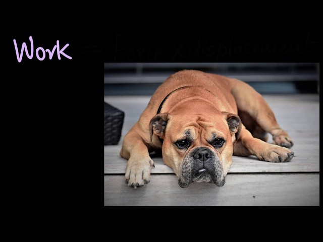 Positive & negative work | Work & Energy | Physics | Khan Academy