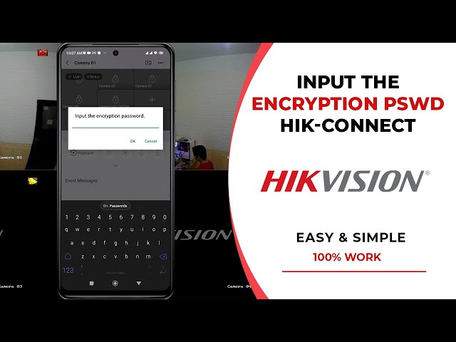 Input The Encryption Password Hik Connect Hikvision