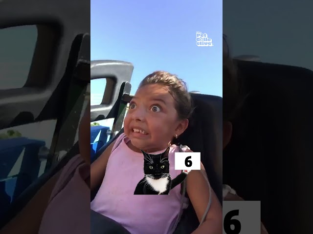 Judgy Cat VS. Theme Parks! 🎢