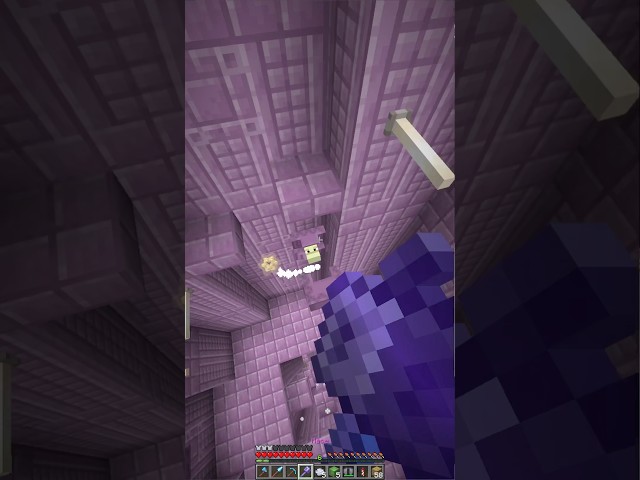 How To Loot An End City