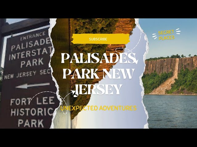 BARBECUE 🍖 picnic 🧺 with Family || #blogging ||  #newyorkcity 