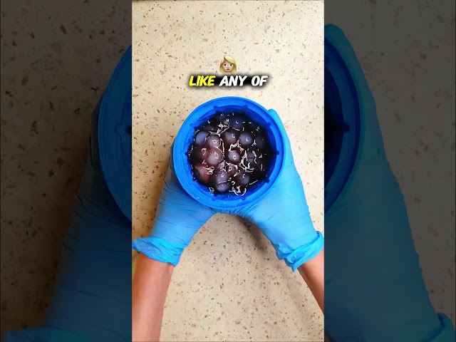 COMMENT ICY ICY TO ENTER THE CHALLENGE