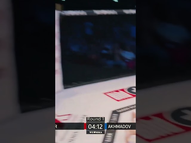 WLMMA 80 Highlights aus Dresden jetzt online!