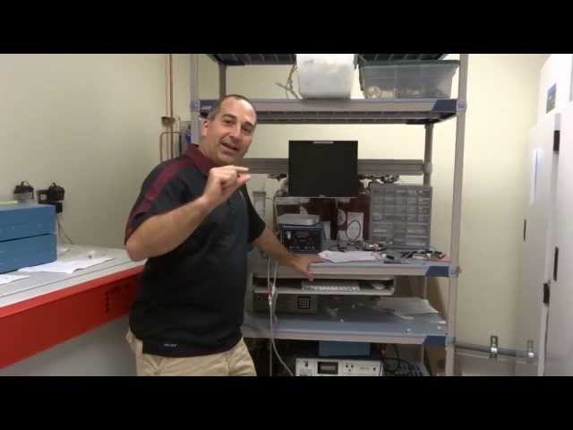 Dr. Biology Visits the Laboratory of Michael Angilletta - Part 2