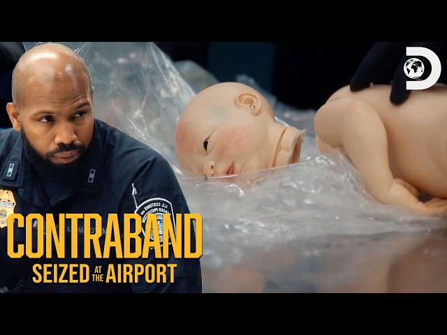 Strangest Confiscations | Contraband: Seized at the Airport | Discovery