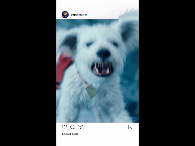 Superman l Pré-venda liberada