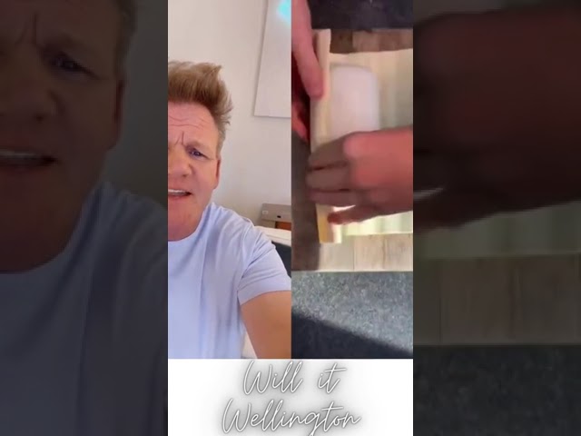 Gordon Ramsay reacts to Will it Wellington #shorts