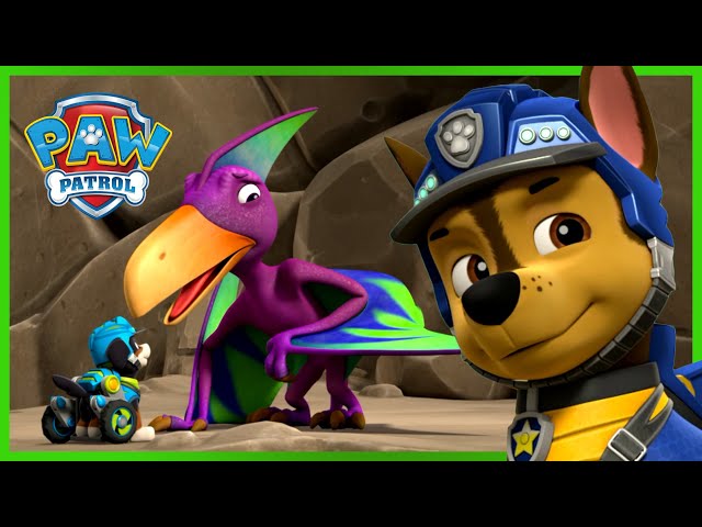 Pups Rescue All The Dinosaurs! - PAW Patrol - Cartoons for Kids Compilation