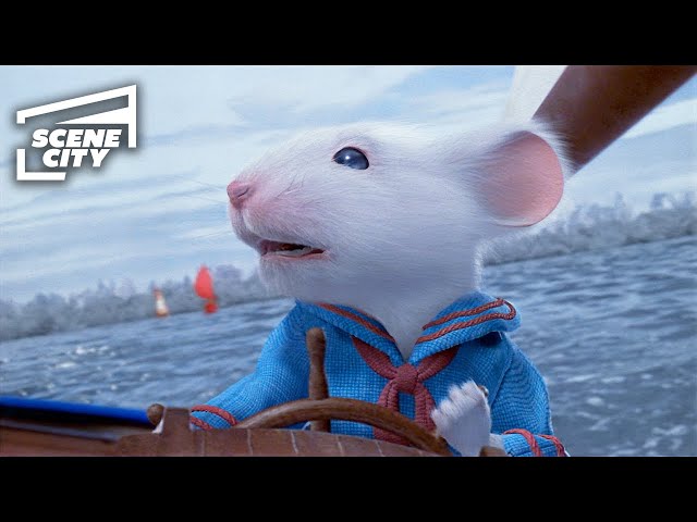 The Boat Race | Stuart Little (Michael J. Fox, Jonathan Lipnicki, Hugh Laurie, Geena Davis)