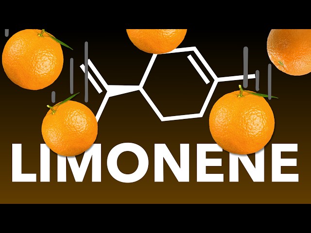 Extracting the Essential Oil from Oranges Using Steam Distillation