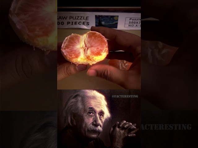 Fibonacci sequence in real life